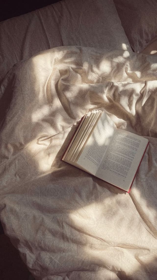 Fiction Favorites